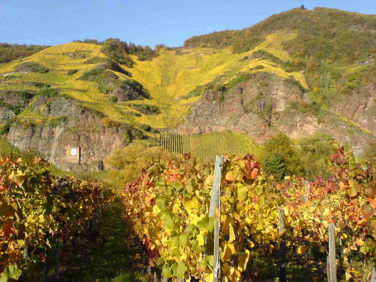 Weinberg